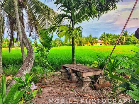 10 Wallpaper Pemandangan Kampung Kumpulan Gambar Pemandangan