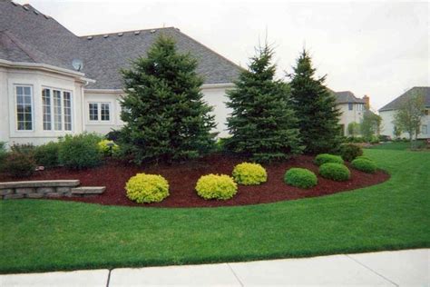 Landscaping Around House Landscaping Trees Privacy Landscaping