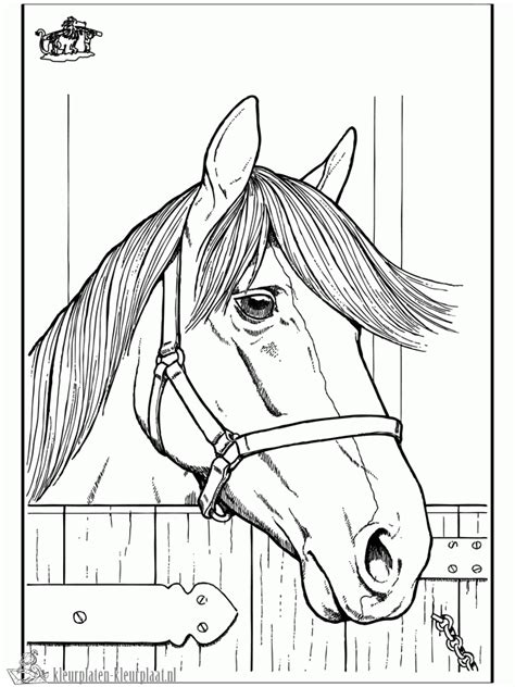 1279 x 913 png pixel. Afbeeldingsresultaat voor paardenkop tekening ...