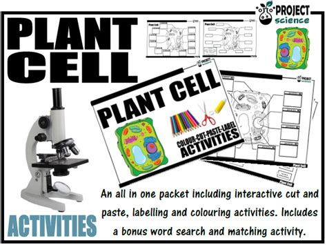 Plant Cell Activities Cut And Paste Teaching Resources