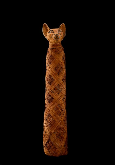 Mummy Cat Smithsonian Insider