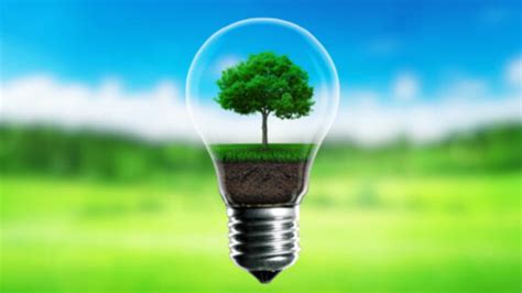 Energy Conservation Essay | Essay on Energy Conservation ...