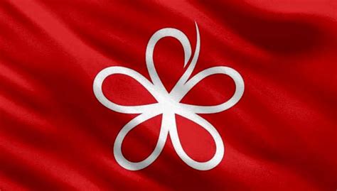File parti pribumi bersatu malaysia logo svg wikipedia. Pemuda PPBM Gesa Pemimpin PH Kelantan Dilantik Menteri ...
