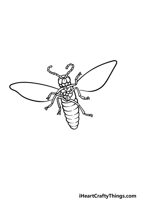 Simple Firefly Drawing