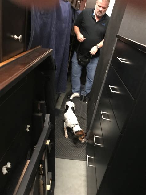 Pest control & pest service professional serving charlotte & sarasota counties. Ace Pest Management | Pest Control North Port, FL | Pest ...