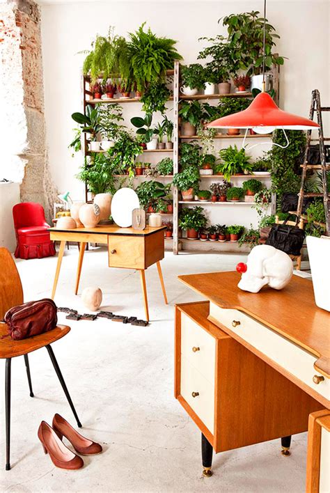10 Beautiful Indoor Garden For Small Apartment Home Design And Interior