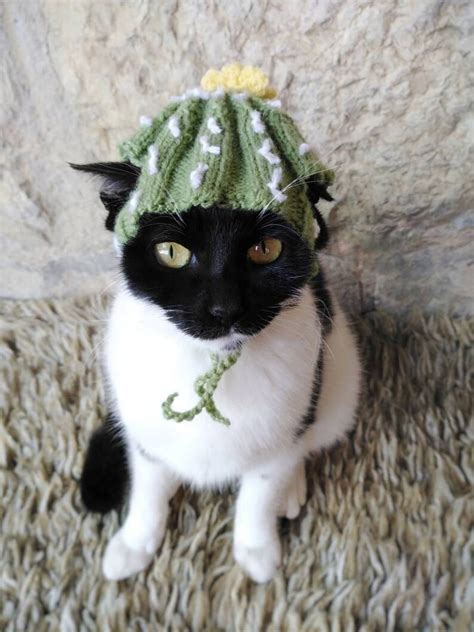 Cactus Cat Hat Flower Hat For Cat Halloween Costumes For Etsy Ireland