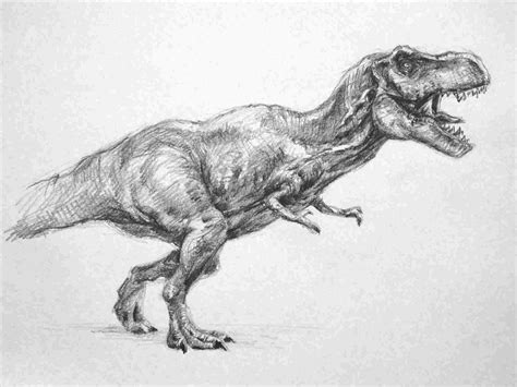 Dinosaur Pencil Drawing At Explore Collection Of