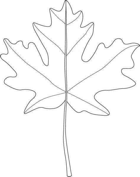 Blank Leaf Template With Lines Addictionary
