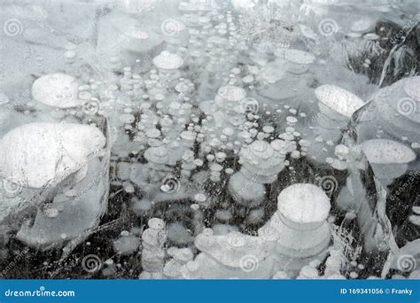 Trapped Methane Bubbles Frozen Into The Water Under The Thick Cracked