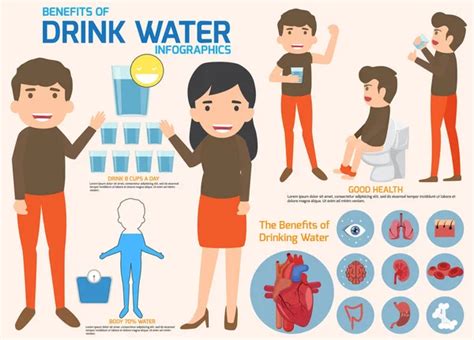 Benefits Drinking Water Vector Art Stock Images Depositphotos