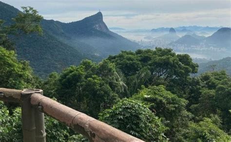 Parque Nacional Da Tijuca O Que Fazer Na Floresta Urbana Carioca