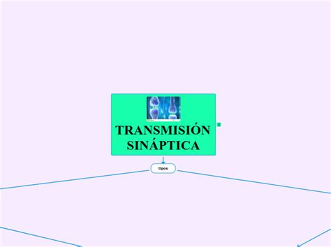 TRANSMISIÓN SINÁPTICA Mind Map