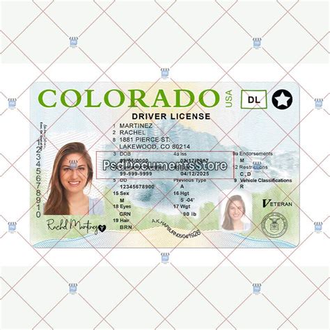 Colorado Drivers License Template Psd Doc Store