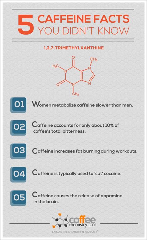 5 caffeine facts you didn t know in 2023 facts you didnt know facts caffeine