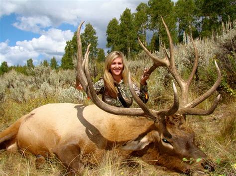 Colorado Trophy Elk Hunt Homestead Ranch