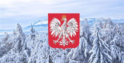 Nowe Godło Polski Na 2018 Rok Pis Przygotowuje Zmiany Na Stulecie