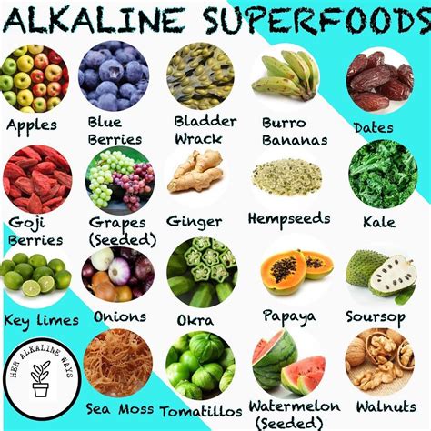 In addition, check out our instagram or facebook page for delicious alkaline recipes daily. ALKALINE VEGAN 🌱 DR SEBI 🐐 on Instagram: "ALKALINE ...