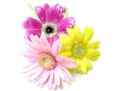 Find images of flower gift. Gif_Paradise: FLOWER GIFS