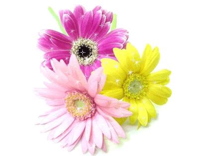 We did not find results for: Gif_Paradise: FLOWER GIFS