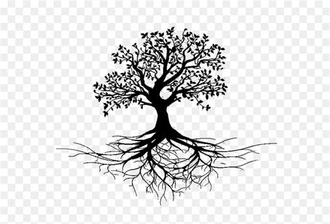 Clip Art Tree With Roots Black And White Hd Png Download Vhv