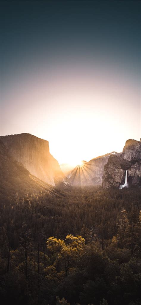 Gray Mountain Surrounded With Trees During Sunrise Iphone X Wallpapers