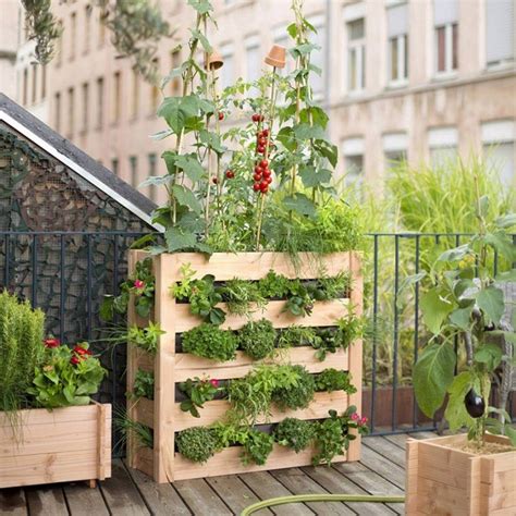 Urban Gardening Ideas On Your Terrace Or Balcony
