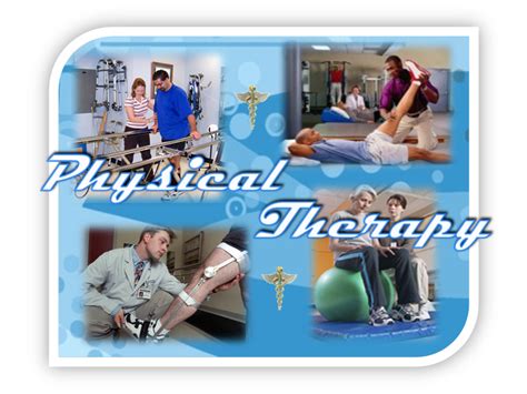 Joint Physician Assistant And Physical Therapy Programs Biological