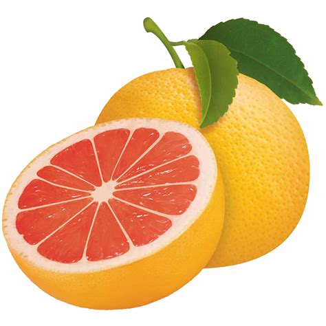 Grapefruit Png Transparent Image Download Size 1024x1024px