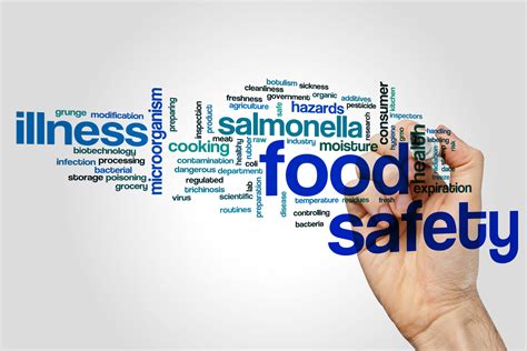 Which Food Safety Course Is For Me Τhe Training Terminal