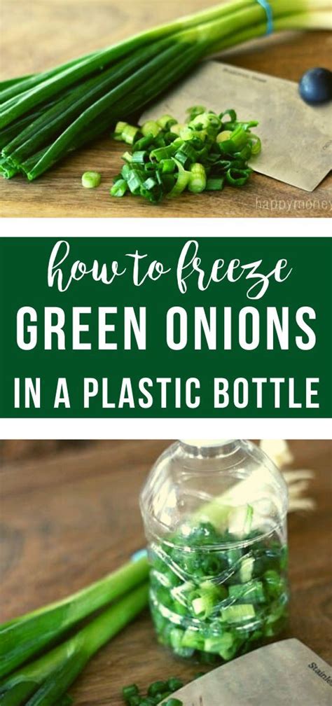 Thrifty Tip Freezing Green Onions In Plastic Bottles Green Onions