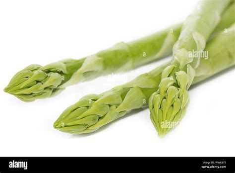 Three Fresh Green Asparagus Spears On A White Background Stock Photo