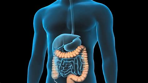 Seven Key Factors That Increase The Risk Of Colorectal Cancer In Men Under 50 Time News