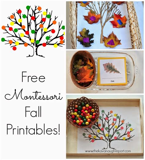 Free Montessori Inspired Fall Printables