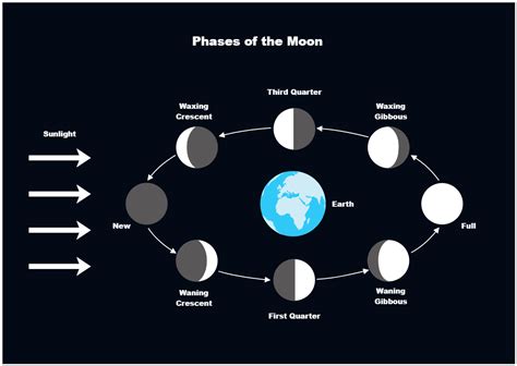Moon Phases Diagram Edrawmax Templates
