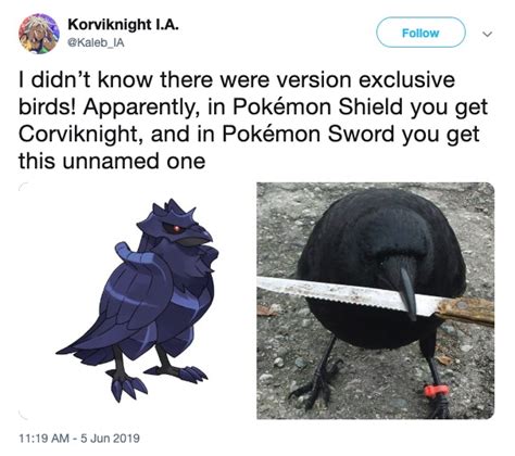 Pokemon Images Pokemon Sword And Shield Memes Scottish