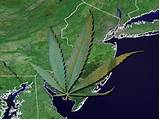 Is Marijuana Legal In New Jersey Photos