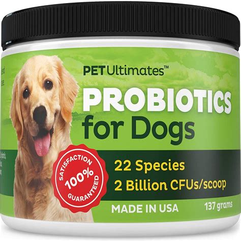 4 All Natural Probiotics For Dogs We Love The Pets Digest