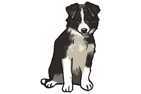 Border Collie Dog Puppy Calm Sticker Graphic By Mvmet · Creative Fabrica