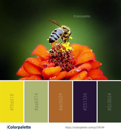 631 Honey Bee Color Palette Ideas In 2021 Icolorpalette