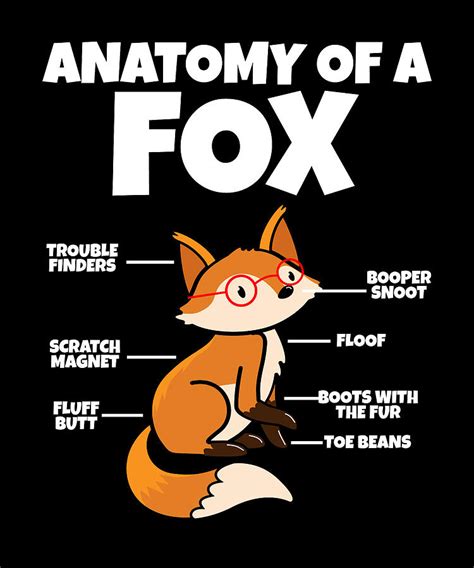 Adorable Fennec Fox I Fox Lover I Anatomy Of A Fox Digital Art By