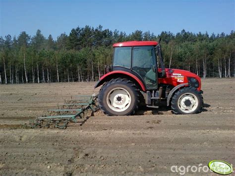 Fotografia ciągnik Zetor Proxima 6441 id 286169 Galeria rolnicza agrofoto