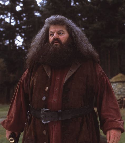 Hagrid Actor Robbie Coltrane Confined To A Wheelchair After Years Of