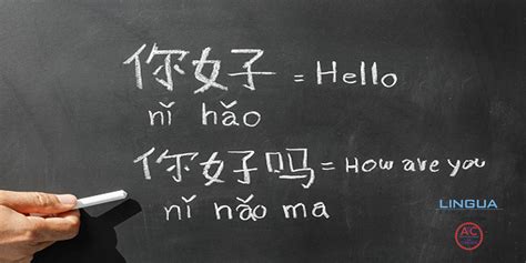 Translate English To Chinese By Lingua Technologies International
