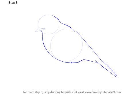 Learn How To Draw A Robin Birds Step By Step Drawing Tutorials