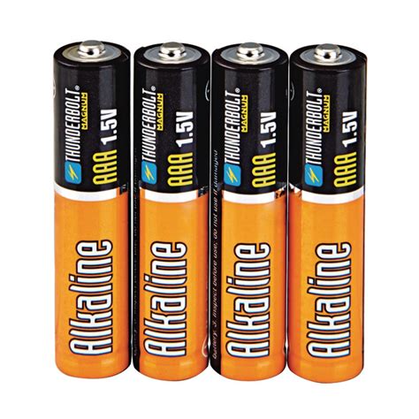 AAA Alkaline Batteries 4 Pk