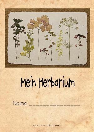 Herbarium vorlage zum ausdrucken / die 99 besten bilder von deckblatt vorlage initiativbewerbung i. Herbarium | Herbarium vorlage, Gepresste blumen, Deckblatt ...