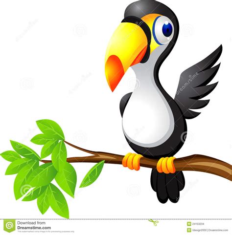 Tucan Clipart 20 Free Cliparts Download Images On