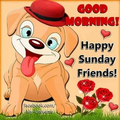 Good Morning Happy Sunday Friends Pictures Photos And