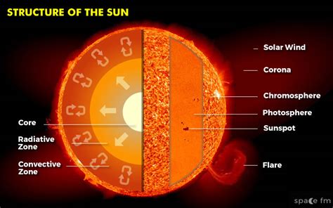 Section Of The Sun Structure Of The Star Solar System